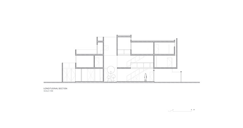 longitudinal section