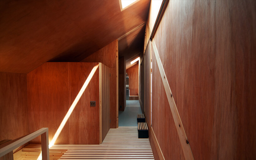 natural light enters from the skylights