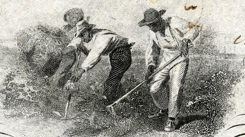 an engraving of slaves working in the field on the confederate's 100 dollar banknote first issued in 1861