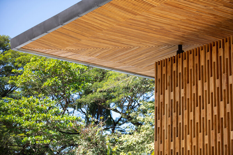 studio saxe brings tropical costa rican jungle inside ‘naia’ beach house