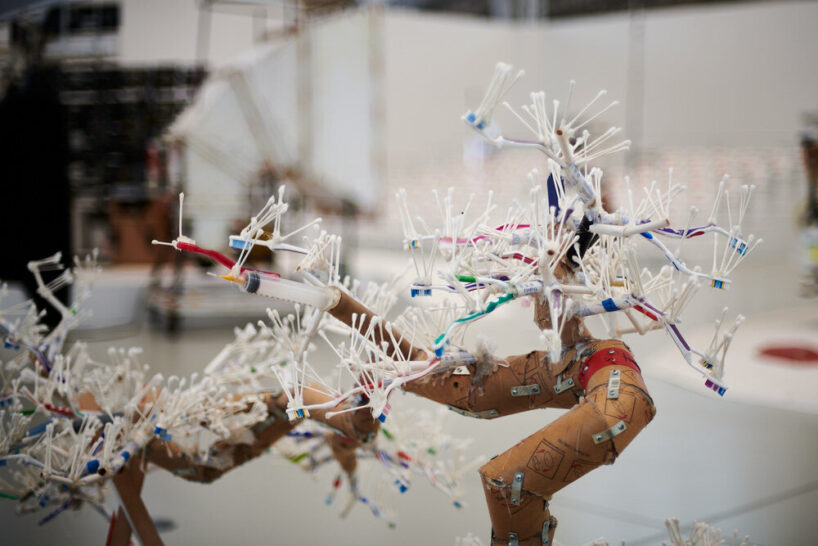 bonsai original | image © designboom