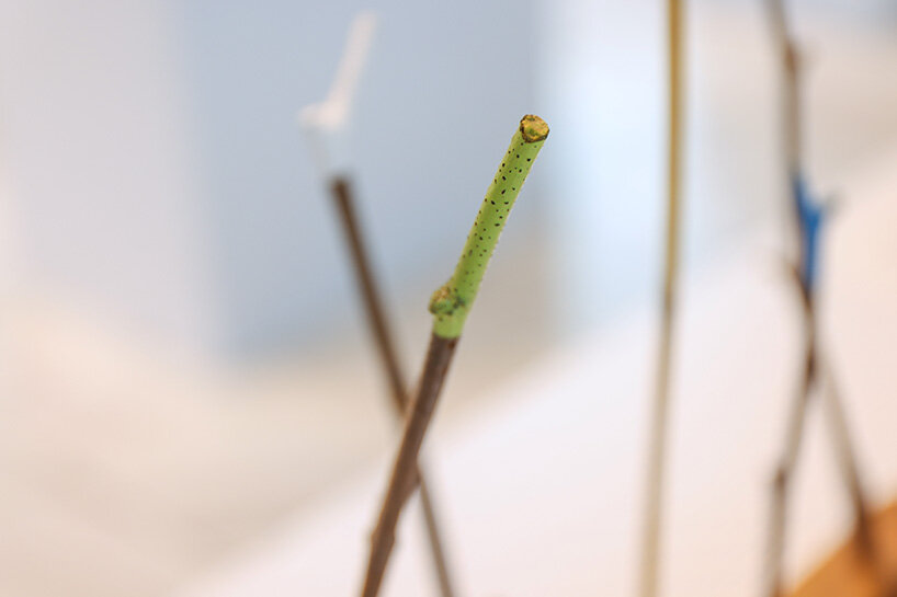 tombo ride by baku maeda image © designboom