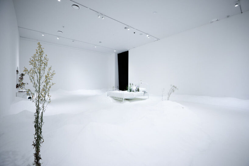bianca bondi, 'the antechamber (tundra swan)', 2020. the busan biennale cur. jacob fabricius, busan, kr. © busan biennale