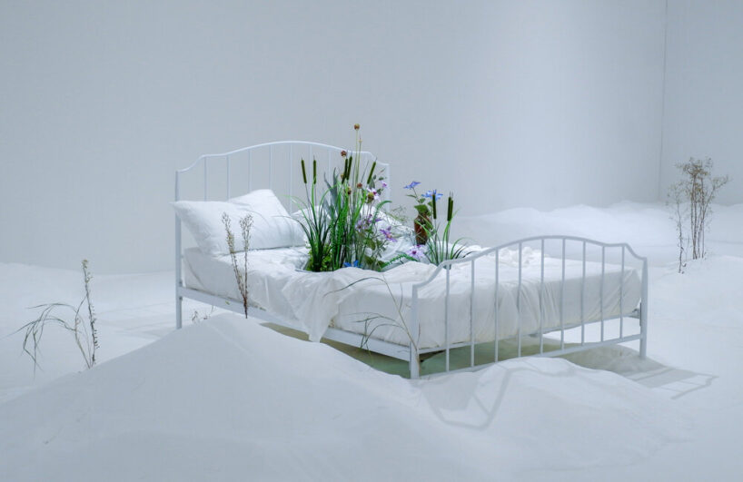 bianca bondi, 'the antechamber (tundra swan)', 2020. the busan biennale cur. jacob fabricius, busan, kr. © busan biennale