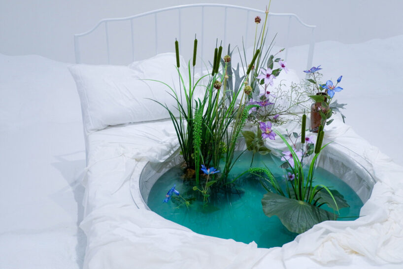 bianca bondi, 'the antechamber (tundra swan)', 2020. the busan biennale cur. jacob fabricius, busan, kr. © busan biennale