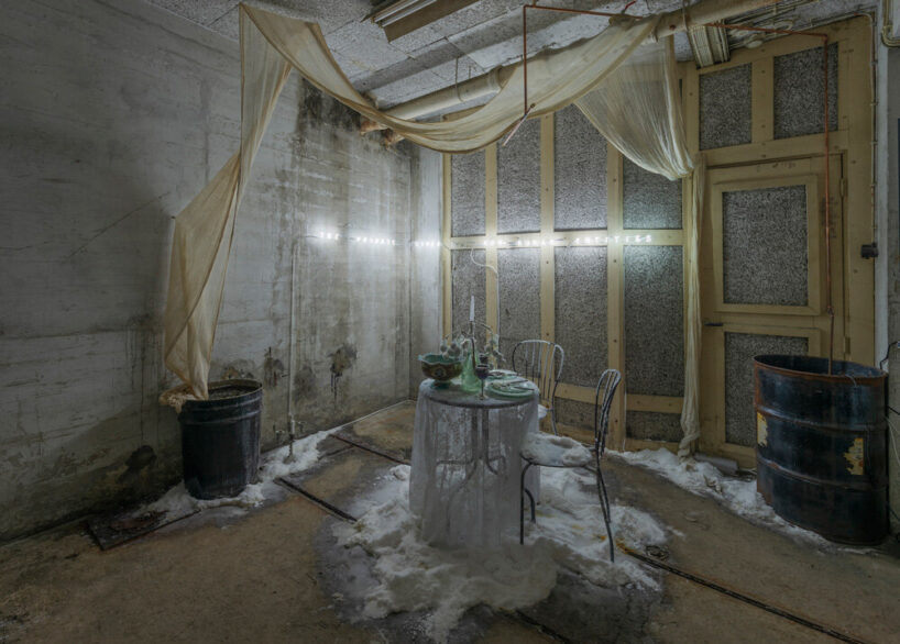 bianca bondi, the private lives of non-human entities, 2020. chapter 3hree cur. maarten spruyt, het HEM, NL. © cassander eeftinck schattenkerk