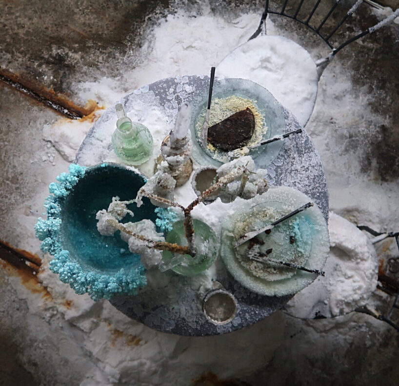 bianca bondi, 'the private lives of non-human entities', 2020. chapter 3hree cur. maarten spruyt, het HEM, NL. © martin freiherr von hagen