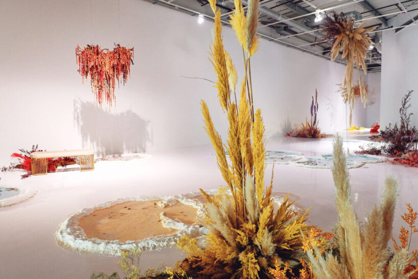 bianca bondi, 'still waters,' 2020, mixed media installation - exhibition view, parvis centre d’art, tarbes, france, courtesy of the artist and galerie mor charpentier