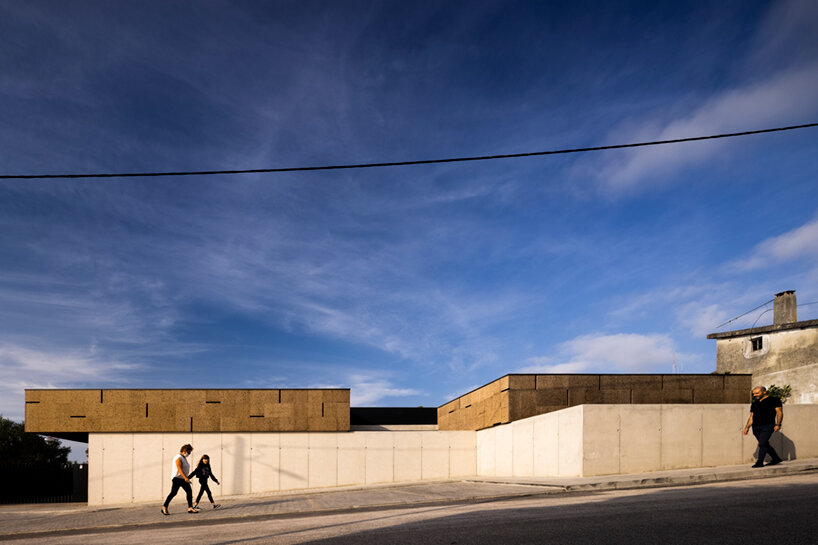 casa árvore contaminar