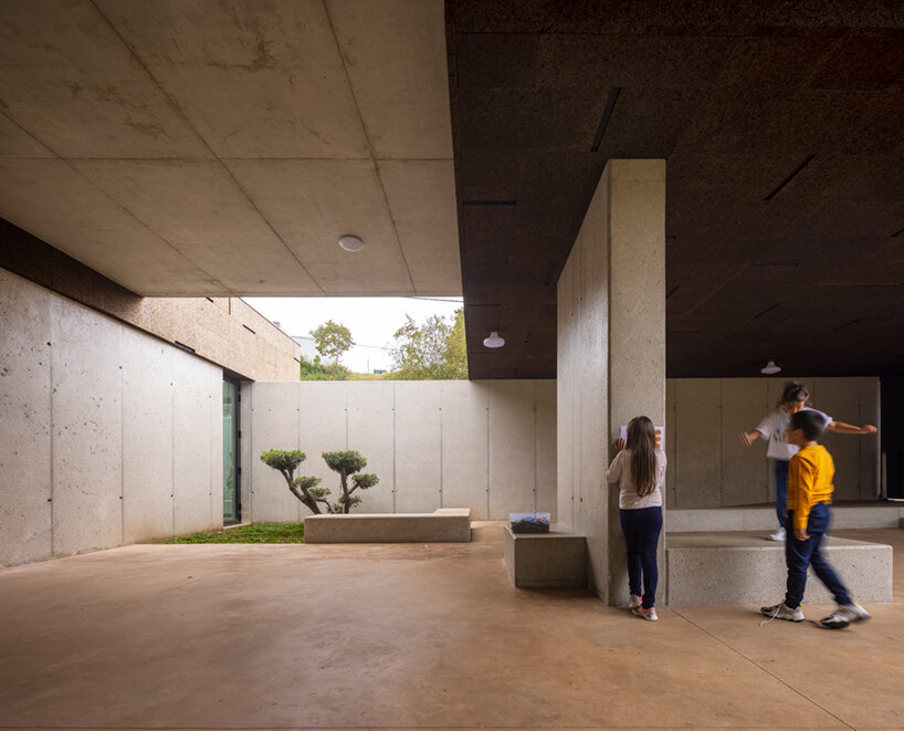 casa árvore contaminar