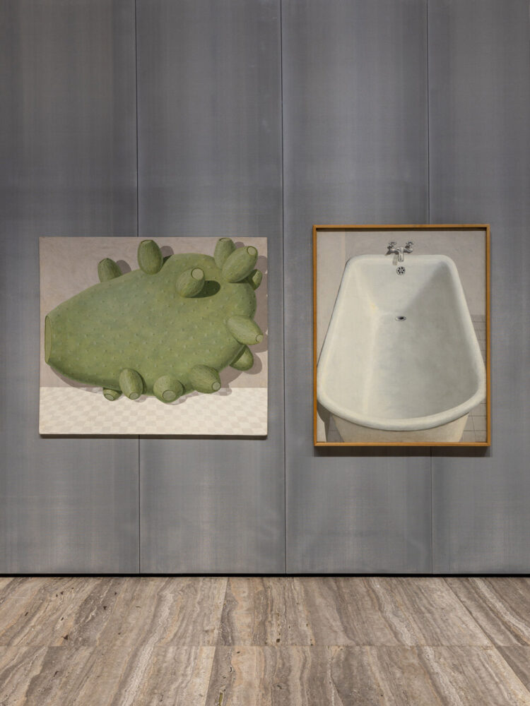 from left to right: branche de cactus, 1967 | vasca da bagno, bagnarola, 1966