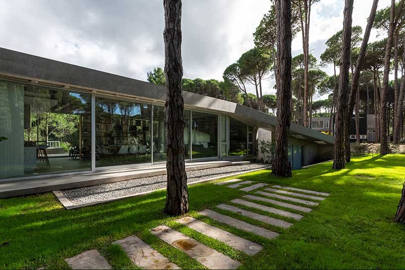 the structure is flanked by pine trees