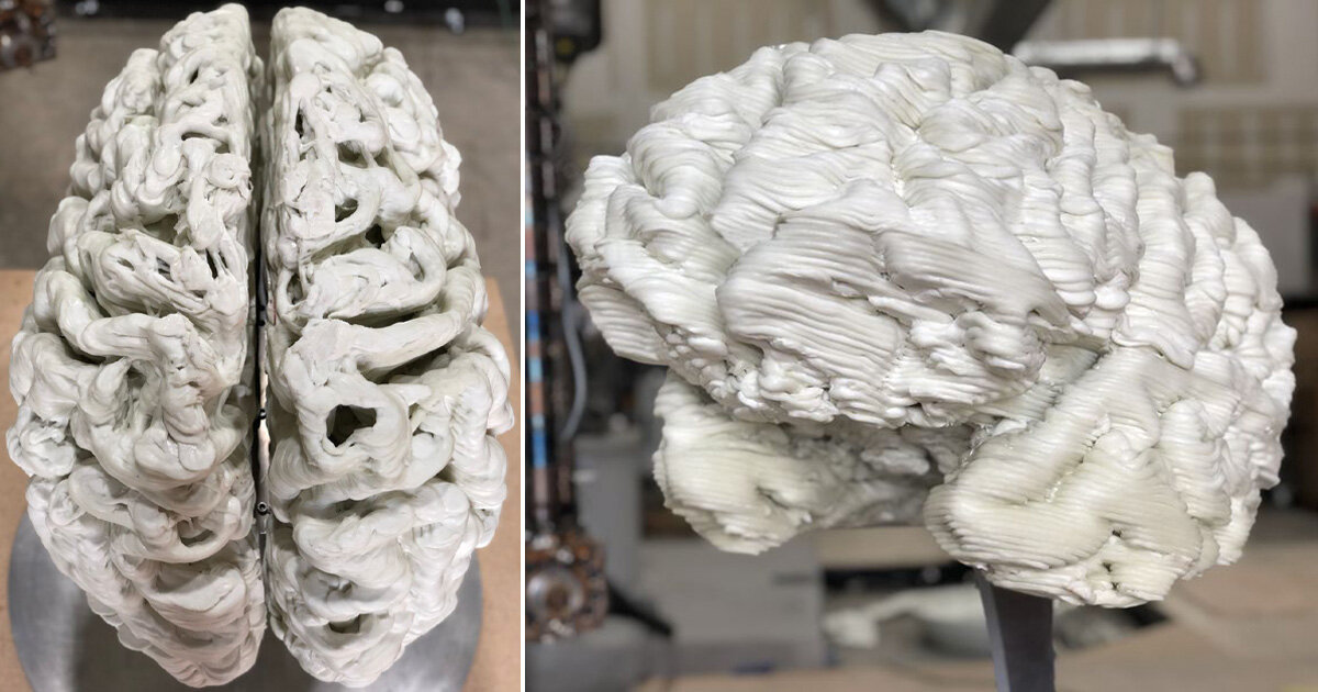 human brain 3d model cerematic human brain 3d model cerematic