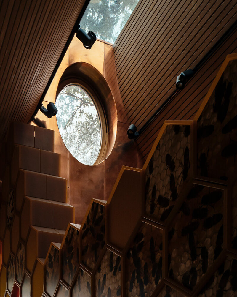 image by jim stephenson