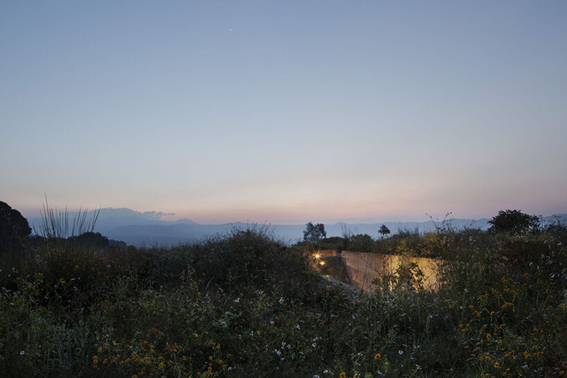 image © sandra pereznieto