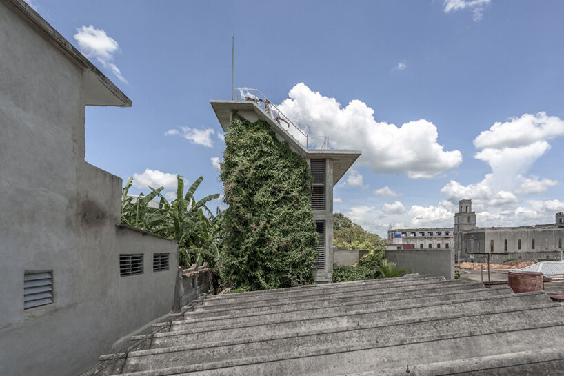 albor arquitectos tower house