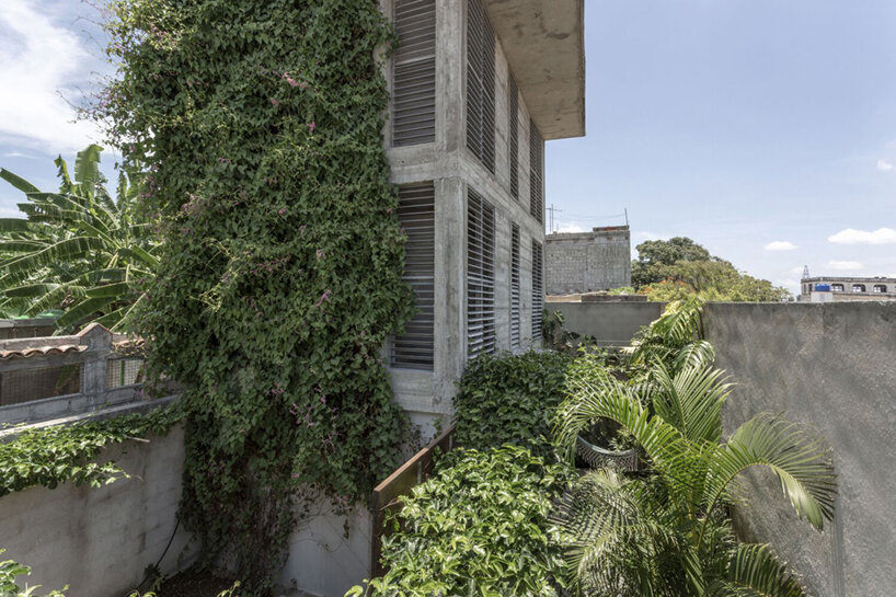 albor arquitectos tower house