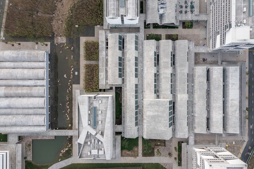 image © fangfang tian