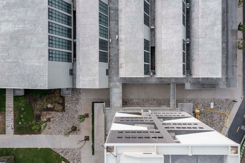 image © fangfang tian