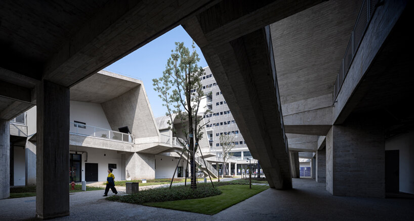 image © qingshan wu