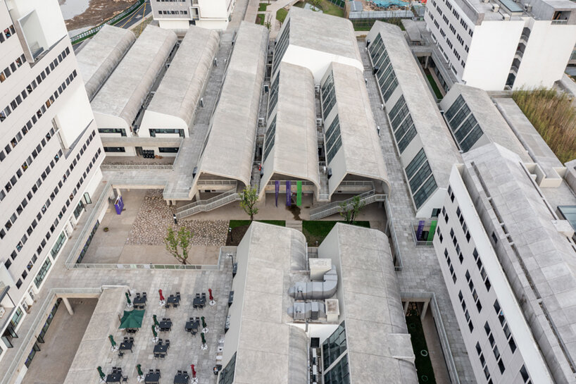 image by fangfang tian