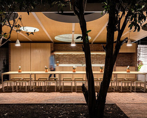 this breakroom's roof is punctured by semi-circle openings to maintain the existing trees