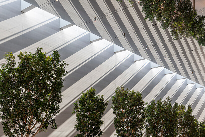 foster + partners unveils airy, light-filled apple at the grove store in los angeles