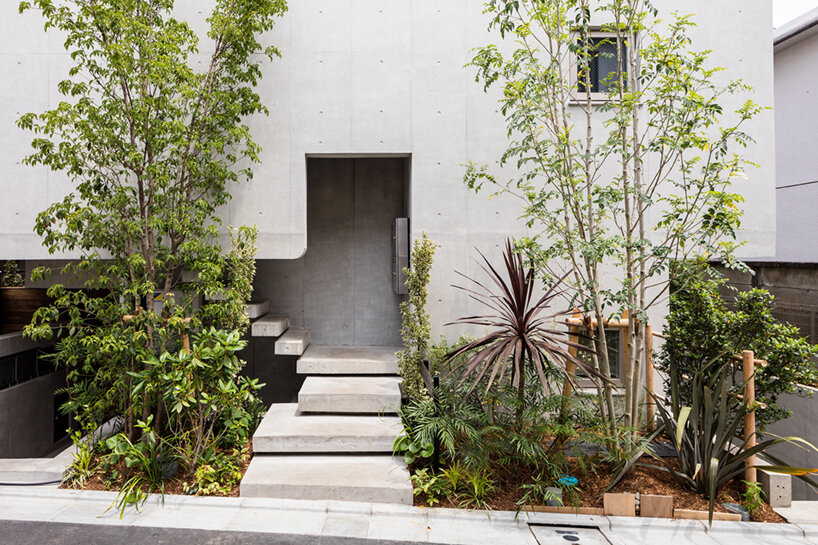 furuya design hanegi