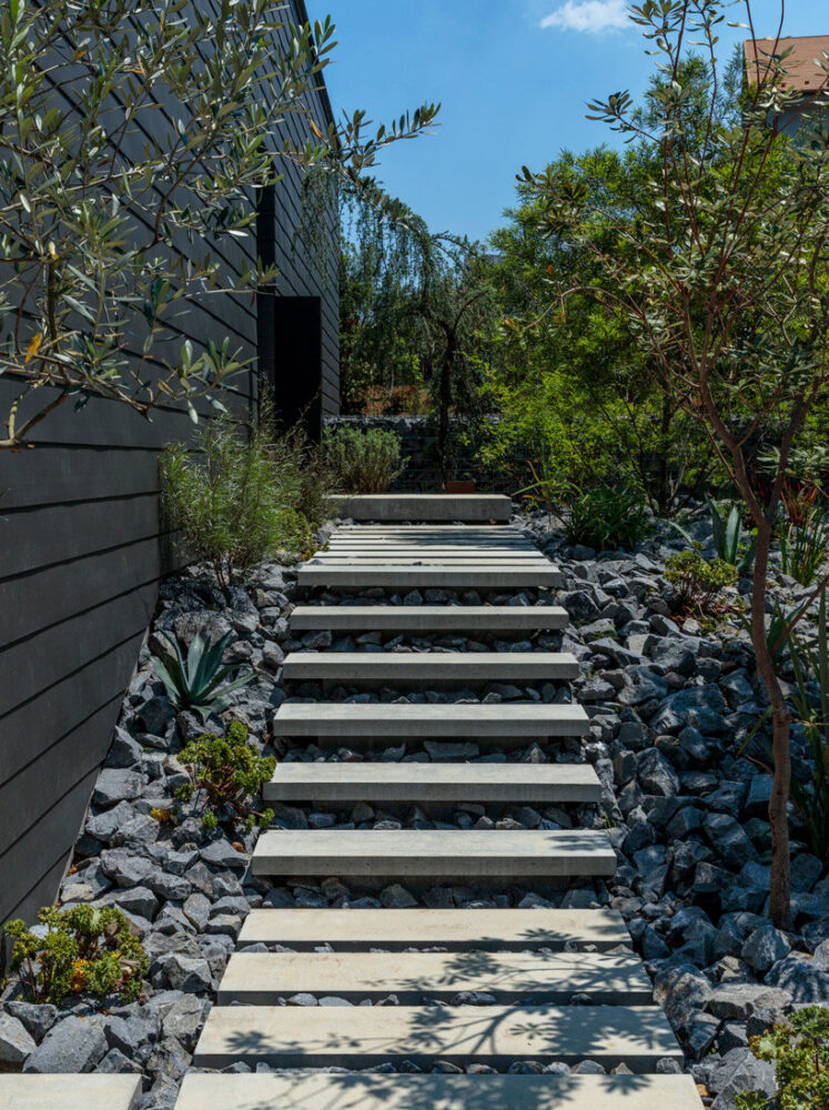 image by kenjiro yoshimi