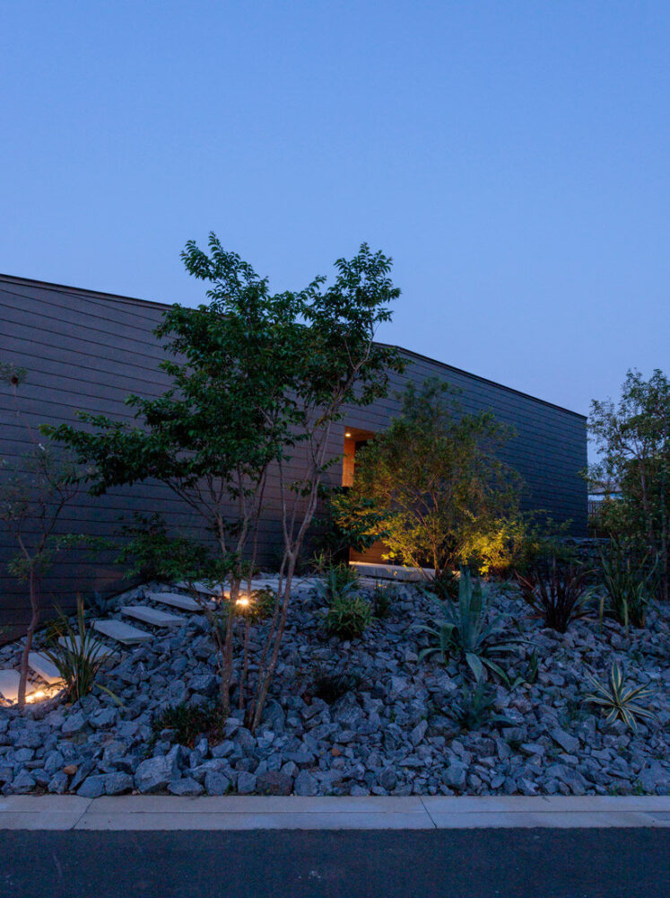 image by kenjiro yoshimi