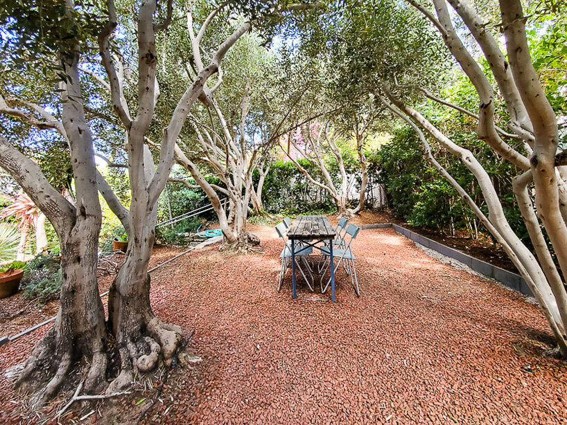 an olive grove is part of the property