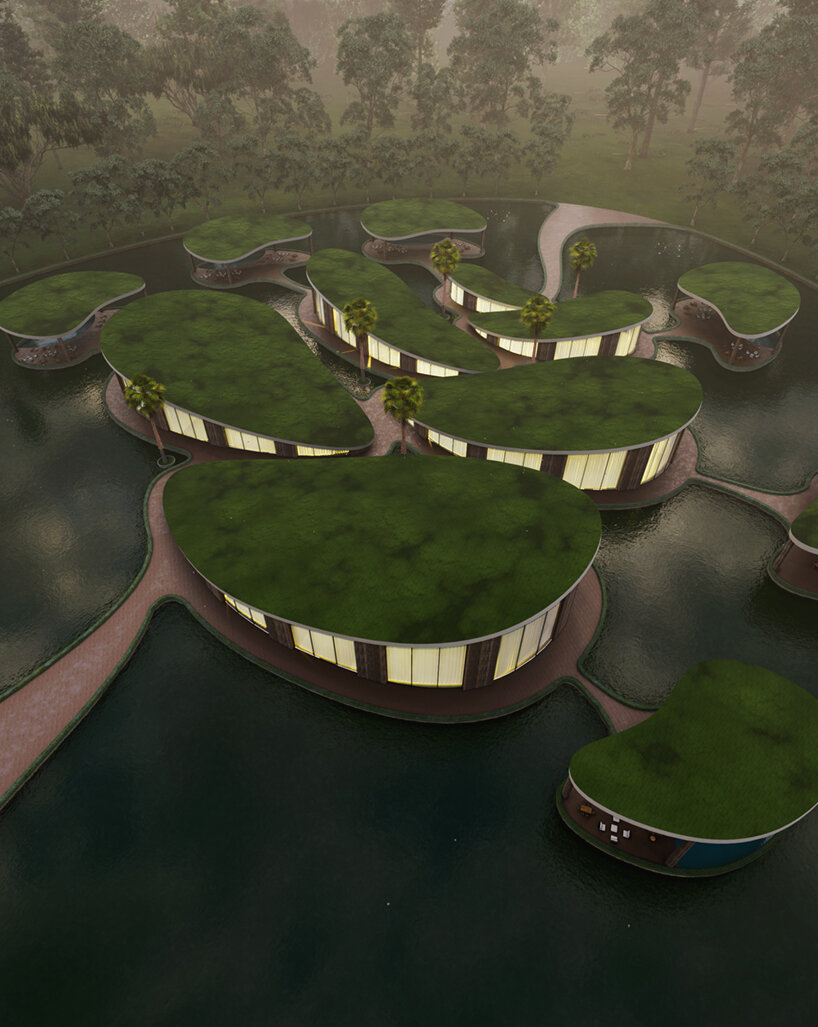 milad eshtiyaghi tree life