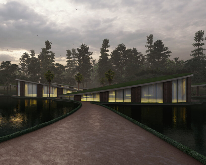 milad eshtiyaghi tree life