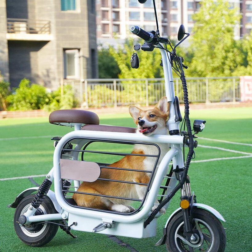 meet mopet: a foldable e-scooter to take your dog for a ride