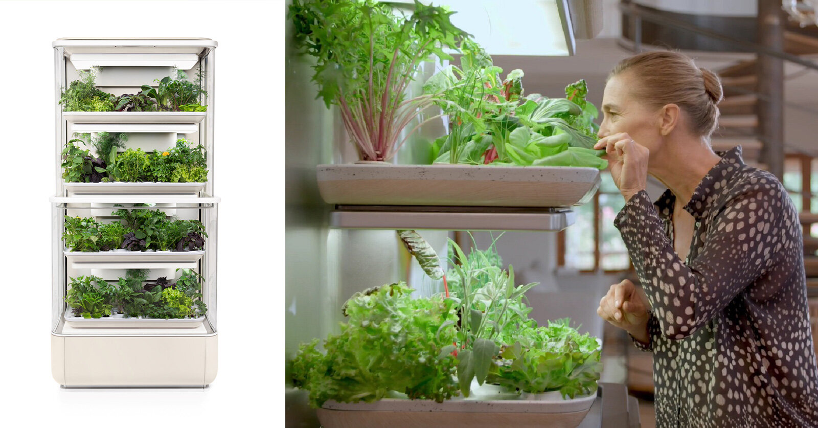 grow your veggies at home with pininfarina’s la grangette home garden grow your veggies at home with pininfarina’s la grangette home garden