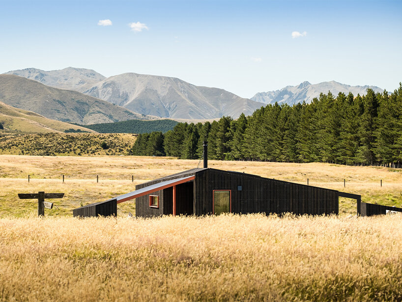 barry connor design's 50sqm cabin retreat in new zealand echoes the aerial dance of birds - 1