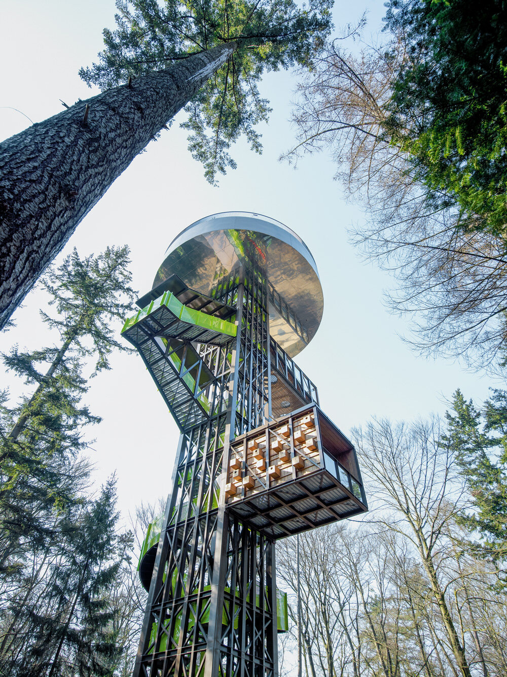 the forest tower by SeARCH, schovenhorst estate, putten, the netherlands © iwan baan