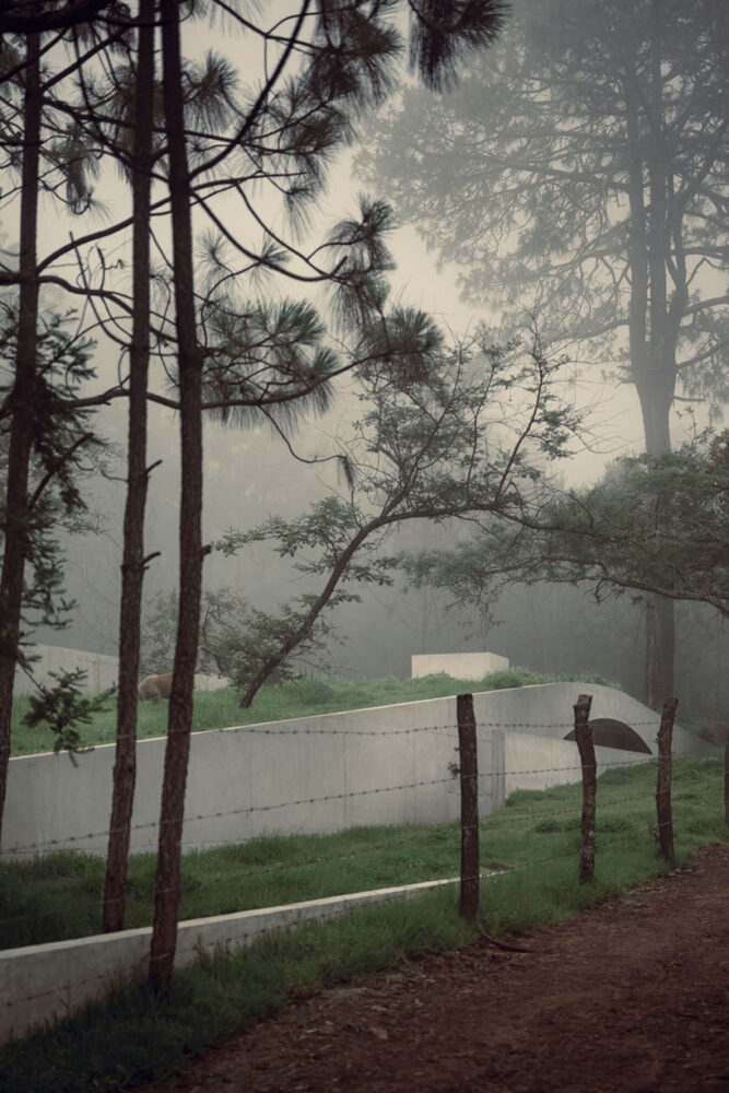 HW studio’s ‘hill in front of the glen’ is a dwelling disguised as a subtle landform