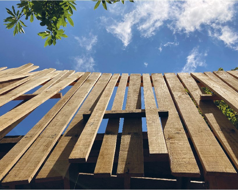 image by alessandro livraghi