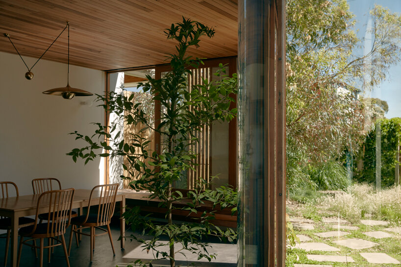 vivarium house in australia is designed to be ‘consumed by its gardens’