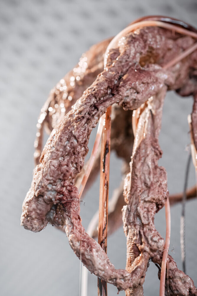 mire lee, carriers: offsprings, 2021 (detail)