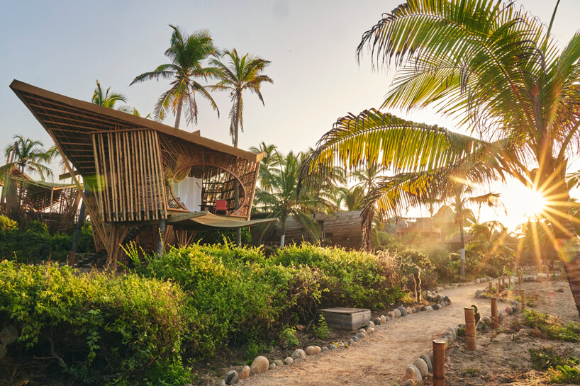 image © kevin steele, courtesy of playa viva