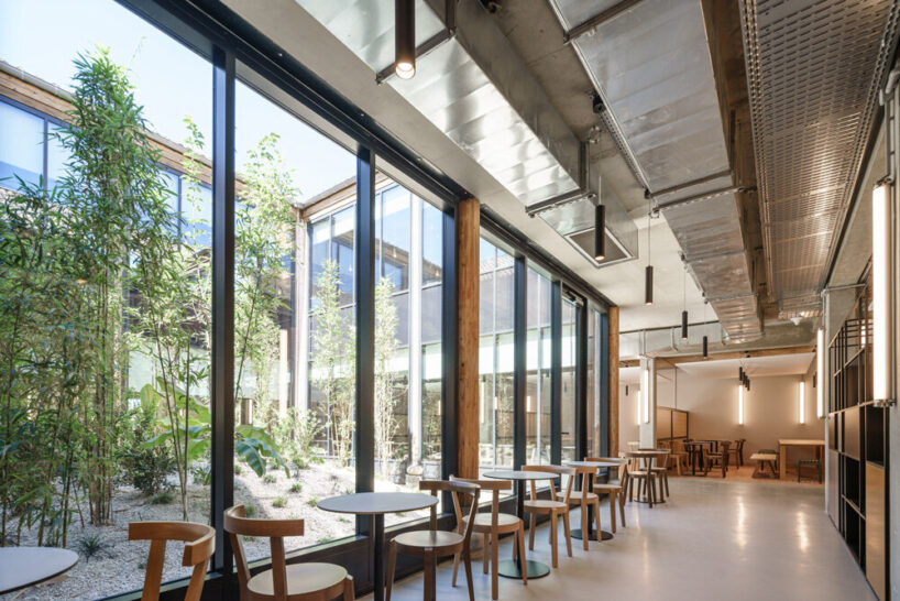 image © stefan tuchila