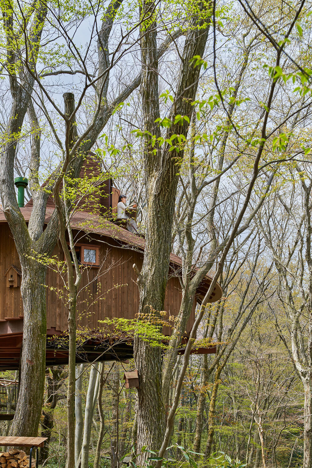 this treehouse by hiroshi nakamura & NAP architects seeks the richness of a frugal life