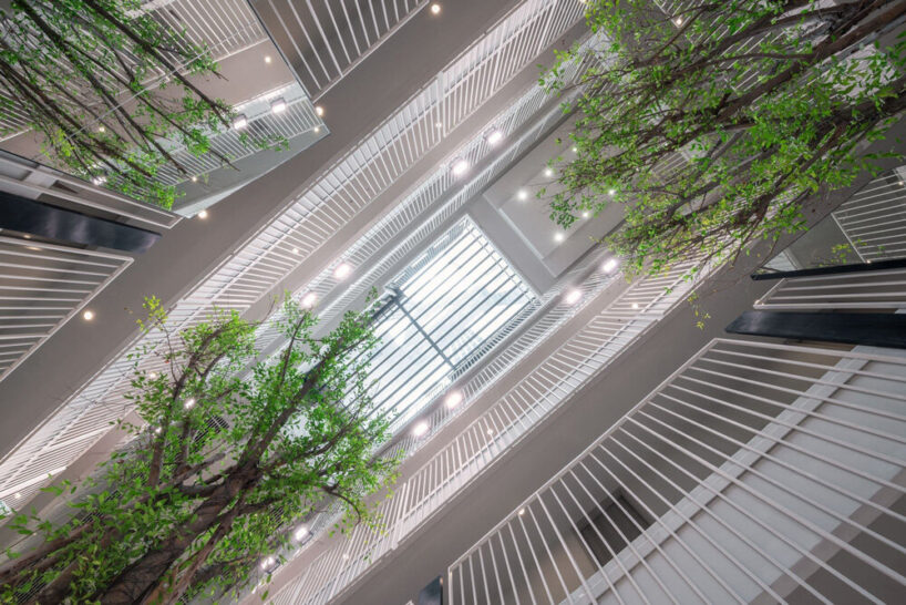 the internal atrium is filled with natural light
