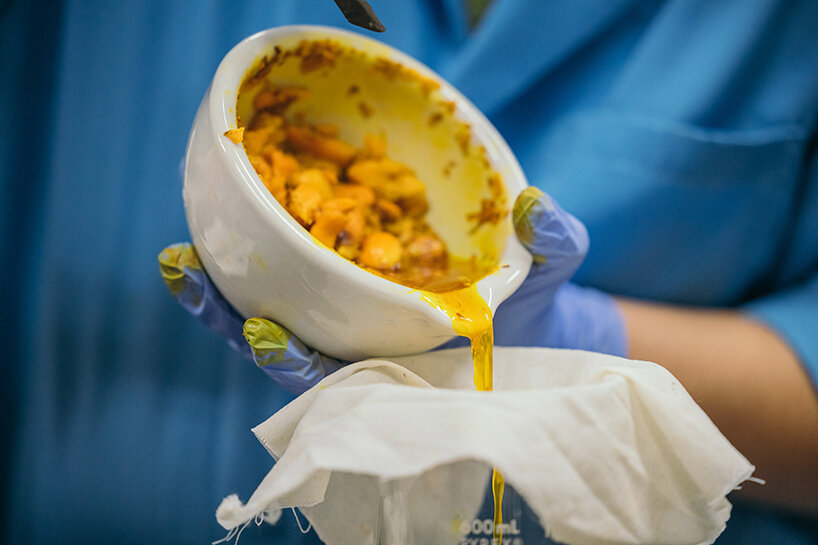 solar panels plant waste