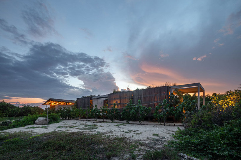 image © onnis luque