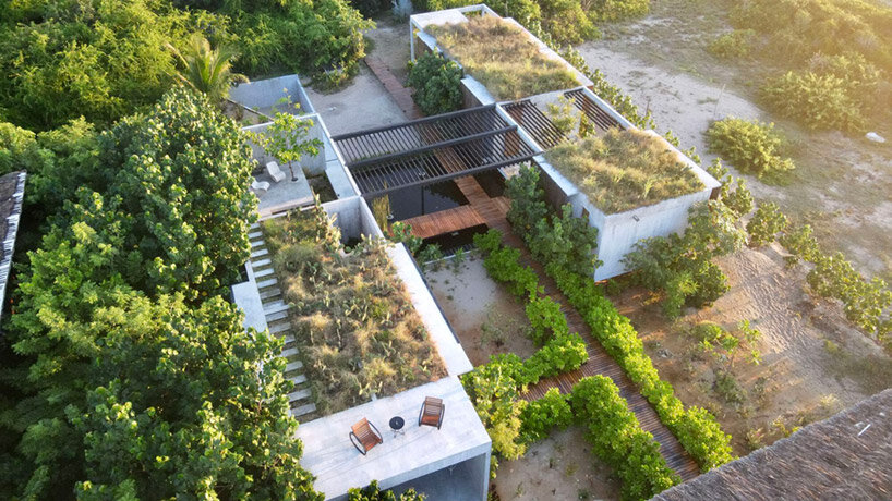 malandra taller alberto calleja