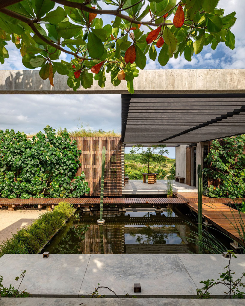 malandra taller alberto calleja