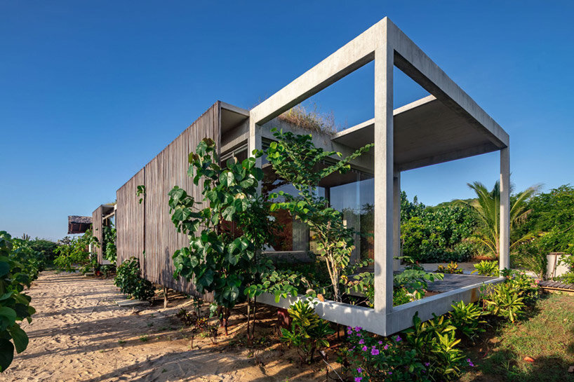 malandra taller alberto calleja